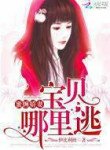 Mi Zang Jiao Wife: Baby Where To Escape
